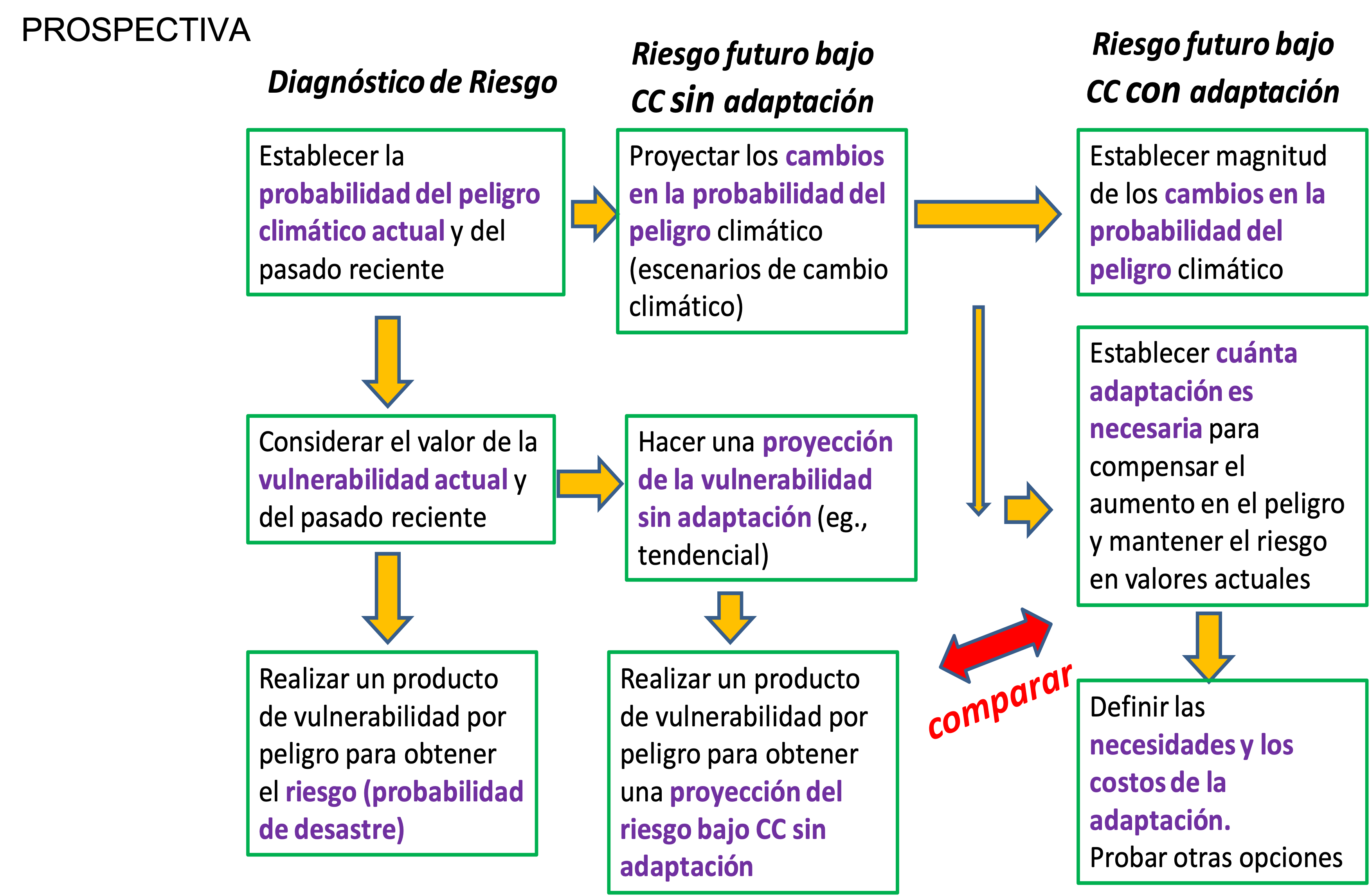 prospectiva del riesgo